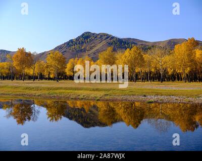 Les arbres aux couleurs de l'automne se reflètent dans la rivière Tuul à l'entrée de Gorchi Parc National de Terelj, Oulan Bator, Mongolie Banque D'Images