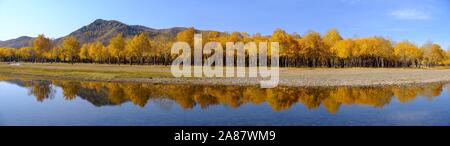 Panorama, autumnally arbres colorés se reflètent dans la rivière Tuul à l'entrée du Parc National de Terelj Gorchi, Oulan Bator, Mongolie Banque D'Images