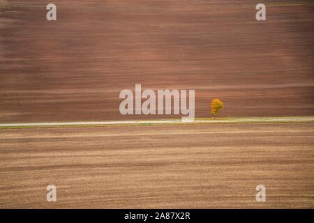 Champ fraîchement labourés et lonely tree en automne, Creuzburg, Thuringe, Allemagne, Kasbach-ohlenberg Banque D'Images