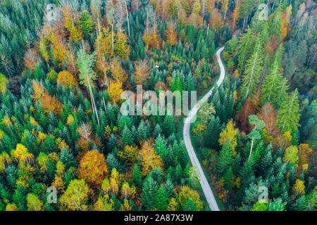 Drone abattu, l'automne dans la Forêt souabe, Herrenbachtal, district Goppingen, Baden-Wurttemberg, Allemagne Banque D'Images