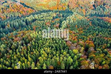 Drone abattu, l'automne dans la Forêt souabe, District Rems-Murr, Baden-Wurttemberg, Allemagne Banque D'Images