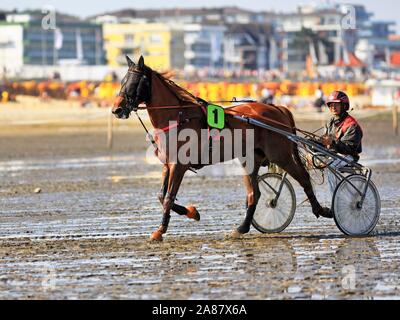 Le cheval et le cavalier au Sulky, Trotter, Duhne vasière race, Cuxhaven, Basse-Saxe, Allemagne Banque D'Images