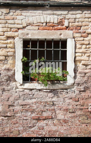 La fenêtre. Une fenêtre sécurisée avec de solides barres de fer ornée de fleurs à l'intérieur d'un mur de briques le vieillissement des capacités. Venise, Italie. Banque D'Images