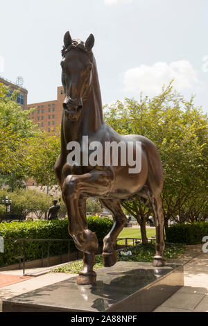 Sculpture Cheval Leonardo Allentown PA Banque D'Images