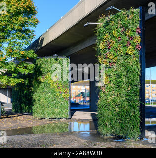 Les jardins verticaux - murs verts - pour réduire la pollution à un rond-point, Millbrook, Southampton, Hampshire, England, UK Banque D'Images