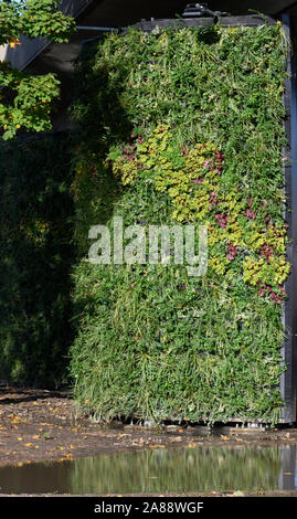 Les jardins verticaux - murs verts - pour réduire la pollution à un rond-point, Millbrook, Southampton, Hampshire, England, UK Banque D'Images