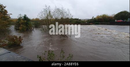 Sheffield, UK - 7 novembre 2019 : inondations de Sheffield et la rivière Don brise banques après de fortes pluies dans le sud du Yorkshire, UK. Banque D'Images