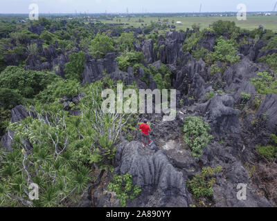 Homme avec chemise rouge grimper et randonnées dans la forêt de Rock (Hutan Batu) dans Rammang Rammang - Sud de Sulawesi - Indonésie Banque D'Images