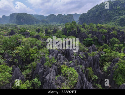 Homme avec chemise rouge grimper et randonnées dans la forêt de Rock (Hutan Batu) dans Rammang Rammang - Sud de Sulawesi - Indonésie Banque D'Images