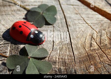 La photo montre une coccinelle sur sol en bois Banque D'Images