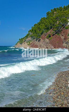 Port de Valldemossa, baech dans le port, Valldemossa, région Comarca, Serra de Tramuntana, à Majorque, îles Baléares, Espagne Banque D'Images