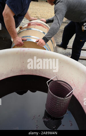 Le mouvement lent du vaporisateur gouttes jaune sur fond noir Banque D'Images