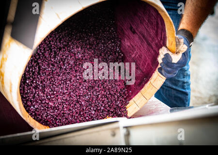 Le mouvement lent du vaporisateur gouttes jaune sur fond noir Banque D'Images