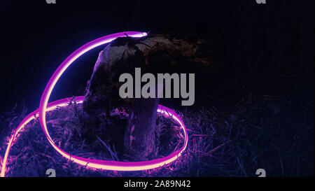 Neon magic mushroom en forêt sur la mousse. Effets psychédéliques de nuit forêt féerique. Champignons mystérieux de néons Banque D'Images