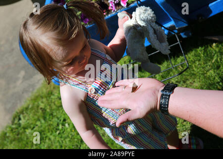 Bébé fille regardant un papillon Banque D'Images