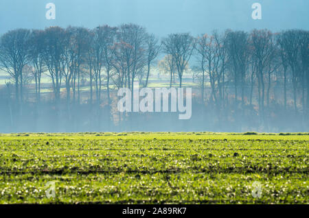 Domaine agricole, Oberweser, Upper Valley, Weser Weser Uplands, Thuringe, Hesse, Allemagne Banque D'Images