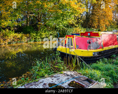 Bateau étroit en automne, Castle Mill Stream, des étangs de la Tamise, Oxford, Oxfordshire, England, UK, FR. Banque D'Images