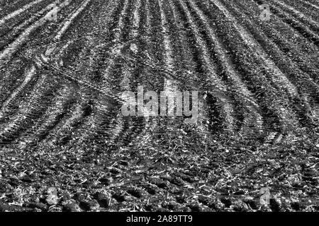 Les chenilles du tracteur, un champ près de Oberweser, Weser Uplands, Thuringe, Hesse, Allemagne Banque D'Images