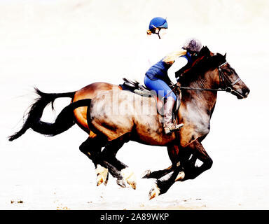 Horses running on beach Banque D'Images