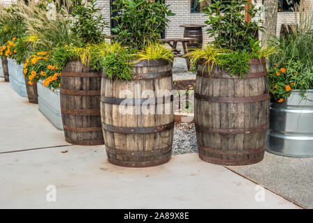 Un regroupement de vieux fûts de chêne antique comme les semoirs avec une variété de fleurs et de plantes et d'autres conteneurs à l'arrière-plan à l'extérieur sur une terrasse sur un Banque D'Images
