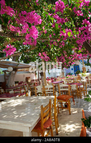 Casting de bougainvillées rose de l'ombre pour une cour pittoresque de tables à Mykonos, Grèce Banque D'Images