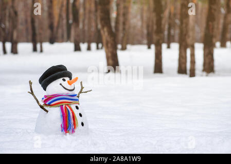 Noël (Nouvel An) carte avec un bonhomme de neige dans un parc de la ville. L'espace de copie pour le texte Banque D'Images