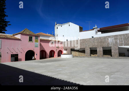 Vue d'été du Convento do Espírito Santo et l'imposant arbre de pin de Norfolk, Loulé, Algarve, Portugal, Europe Banque D'Images