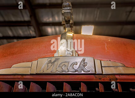 Le Bulldog hotte ornement d'un vintage 1950 camion Mack est photographié à la camion poubelle Déchets Pro's museum, le 18 mars 2016, à Sanford, en Floride. Banque D'Images