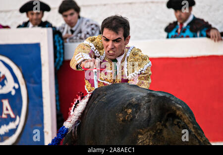 Matador mexicain Arturo Macias vecteurs une épée dans un bull comme il remplit le tuer au cours d'une corrida à la Plaza de Toros à San Miguel de Allende, Mexique. Banque D'Images