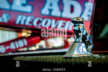 Un bulldog Mack Trucks hood ornament orne une caisse à outils à Mike Adams Remorquage et recouvrement à coussin d'air, le 22 mars 2016, à Macon, Géorgie. Banque D'Images