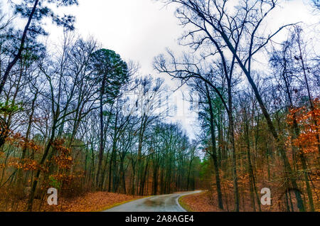 Une route mouillée mène la colline de Jeff Busby State Park, situé le long de la Natchez Trace Parkway près de Ackerman, Mississippi. Banque D'Images