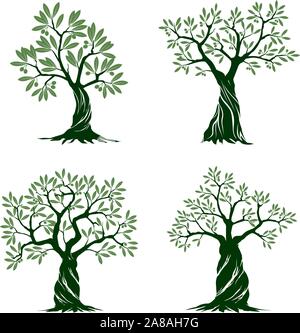 Ensemble d'arbres d'Olive vert isolés sur fond blanc. Illustration vectorielle et concept pictogramme. Plante dans le jardin. Illustration de Vecteur