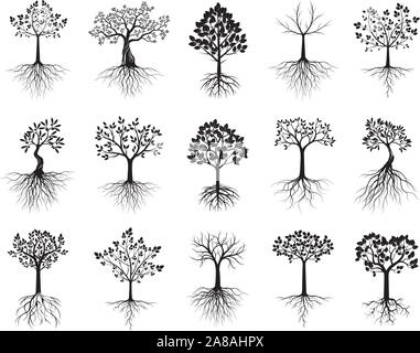 Ensemble de beaux arbres isolés en noir sur fond blanc. Illustration vectorielle et concept pictogramme. Plante dans le jardin. Illustration de Vecteur