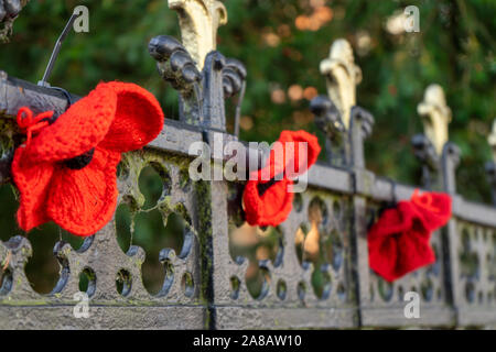 Coquelicots rouges tricotés attaché à une clôture pour le jour du Souvenir Banque D'Images