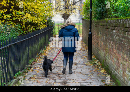 Une femme dans un manteau d'hiver et wellies promener son chien dans une ruelle à l'automne Banque D'Images