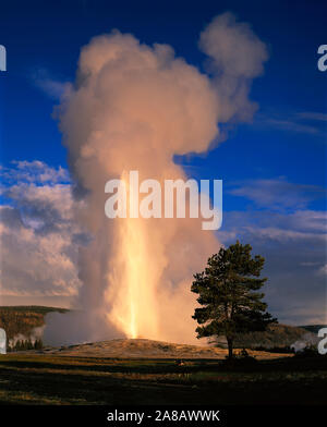 USA, Wyoming, Yellowstone National Park, Old Faithful, détachés de la vapeur et de l'eau thermale Banque D'Images