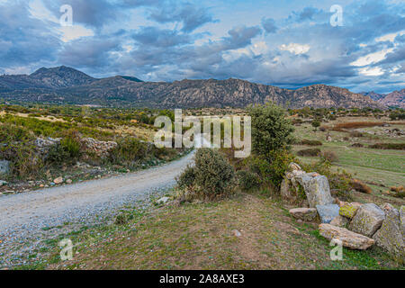 Paysage, chemin rural à travers le parc national de Guadarrama avec les montagnes en arrière-plan un jour nuageux. Madrid Espagne Banque D'Images