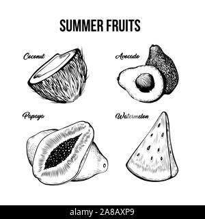 Les fruits d'été illustrations en noir et blanc. Dessert exotique naturel, aliments tropicaux avec lettrage. Coco juteux, l'avocat, la papaye et la pastèque pack dessins stylo encre. Ingrédients Jus de vitamine Illustration de Vecteur