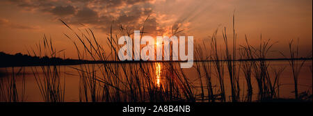 Coucher de soleil sur un lac, le lac Travis, Austin, Texas Banque D'Images