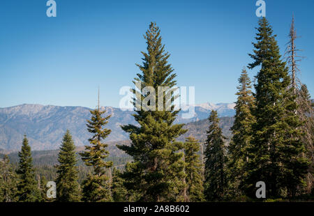 Giant Sequoia National Monument, le Centre de la Californie Eastren Banque D'Images