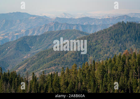 Giant Sequoia National Monument, le Centre de la Californie Eastren Banque D'Images