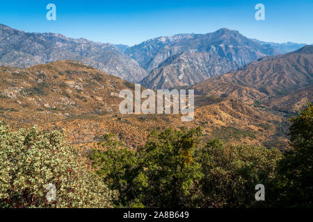 Giant Sequoia National Monument, le Centre de la Californie Eastren Banque D'Images