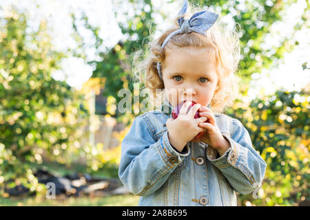 Cute little girl enfant manger bio mûre pomme rouge dans le verger en automne. Juste curly haired fille européenne enfant dans un costume en jean à la ferme Banque D'Images