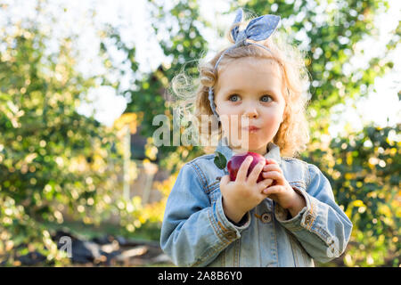 Cute little girl enfant manger bio mûre pomme rouge dans le verger en automne. Juste curly haired fille européenne enfant dans un costume en jean à la ferme Banque D'Images