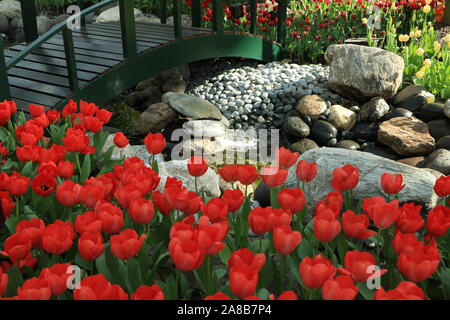 Jardin des tulipes rouges par pont Banque D'Images