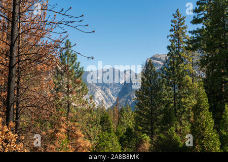 Le Parc National Kings Canyon, en Californie Banque D'Images