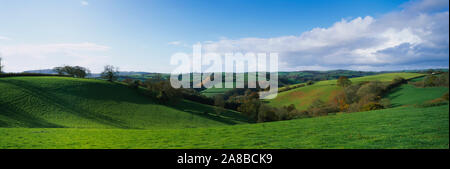 Arbres sur un paysage, Bickleigh, Mid Devon, Devon, Angleterre Banque D'Images