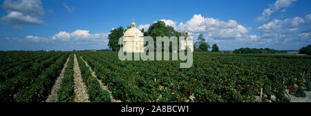 Château dans un vignoble, Château Latour, Pauillac, Bordeaux, MEDOC, France Banque D'Images