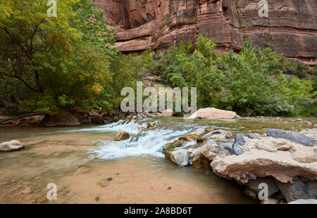 Cascade sur la rivière vierge à Zion Canyon, Zion National Park, Utah Banque D'Images