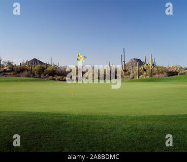 Drapeau de golf dans un terrain de golf, Troon North Golf Club, Scottsdale, comté de Maricopa, Arizona, USA Banque D'Images